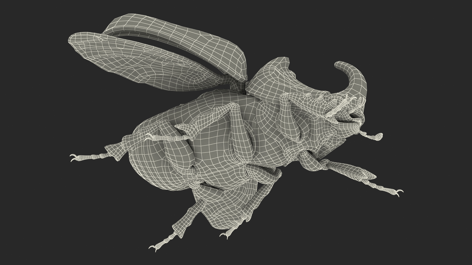 Rhinoceros Beetle Oryctes Nasicornis with Fur Rigged 3D