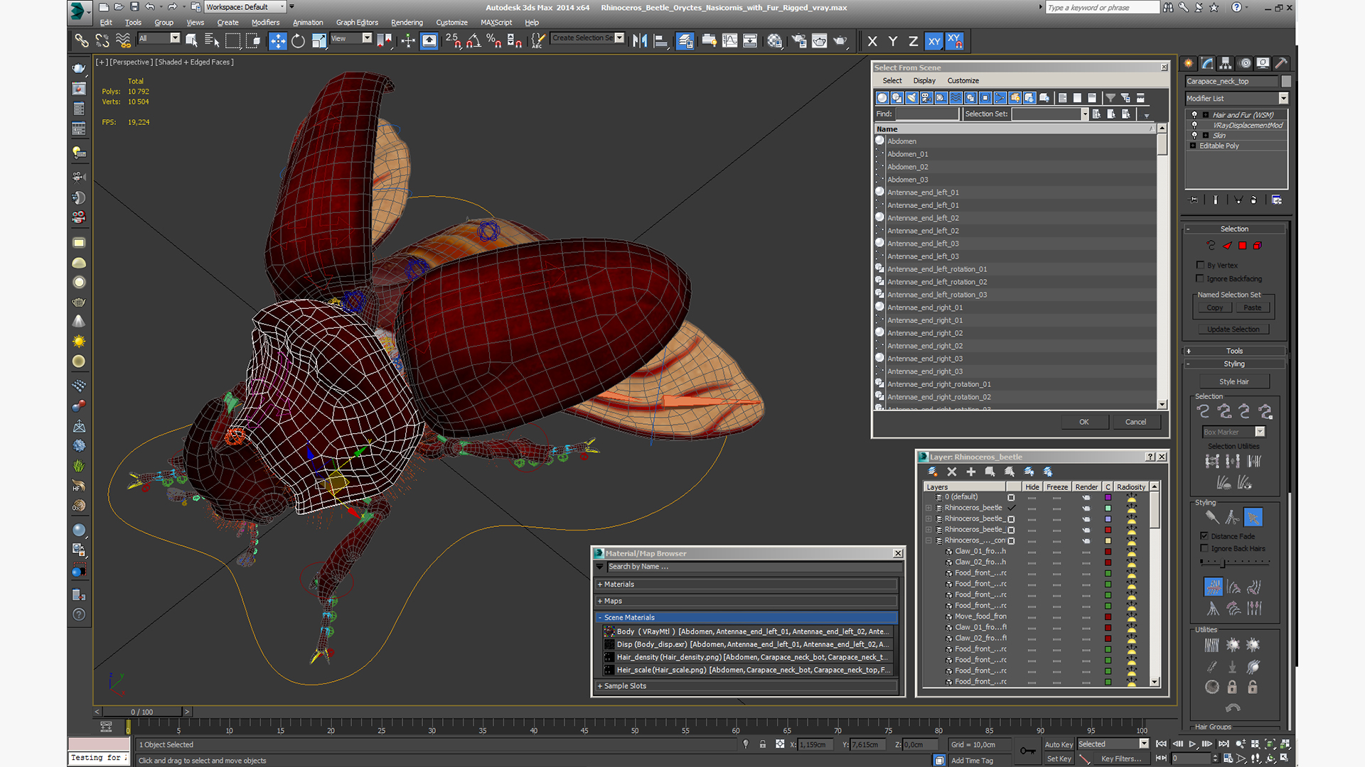 Rhinoceros Beetle Oryctes Nasicornis with Fur Rigged 3D