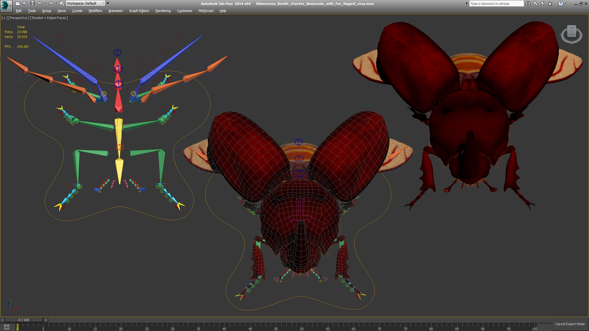 Rhinoceros Beetle Oryctes Nasicornis with Fur Rigged 3D