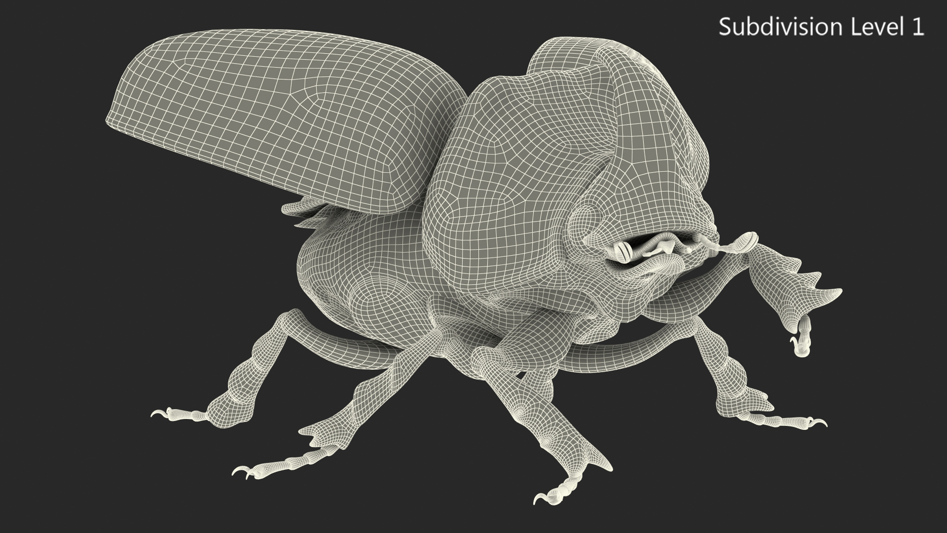 Rhinoceros Beetle Oryctes Nasicornis with Fur Rigged 3D