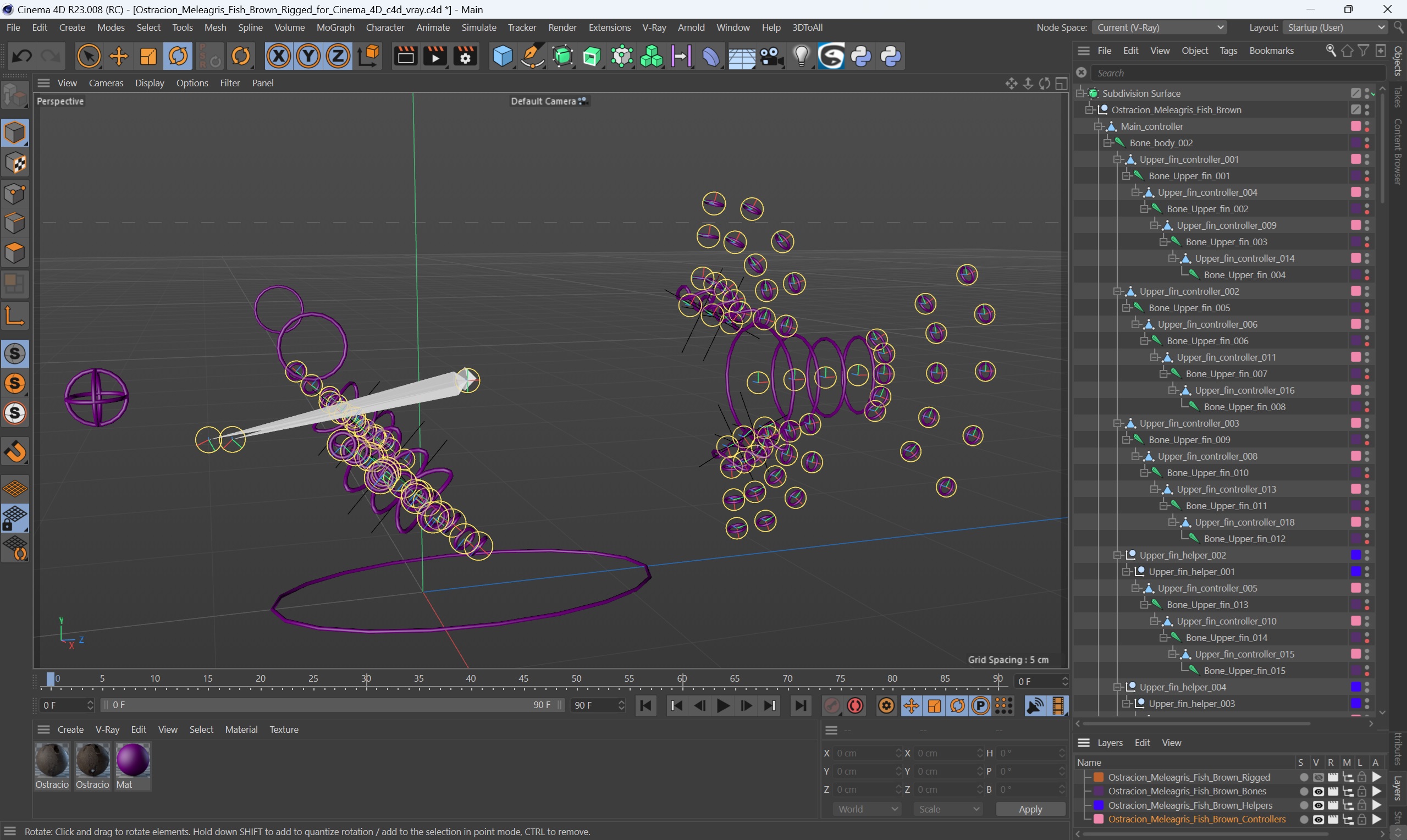 3D Ostracion Meleagris Fish Brown Rigged for Cinema 4D
