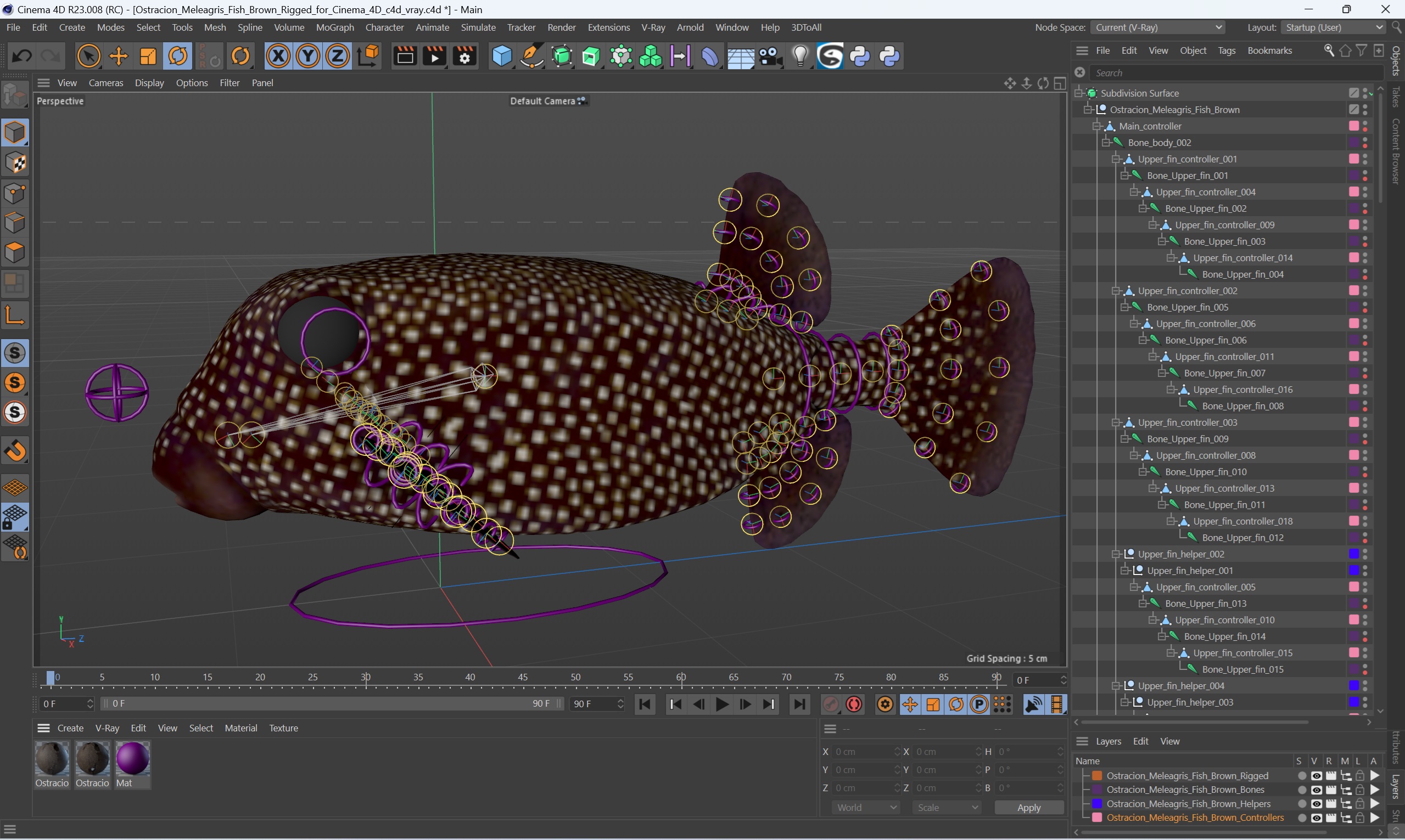 3D Ostracion Meleagris Fish Brown Rigged for Cinema 4D