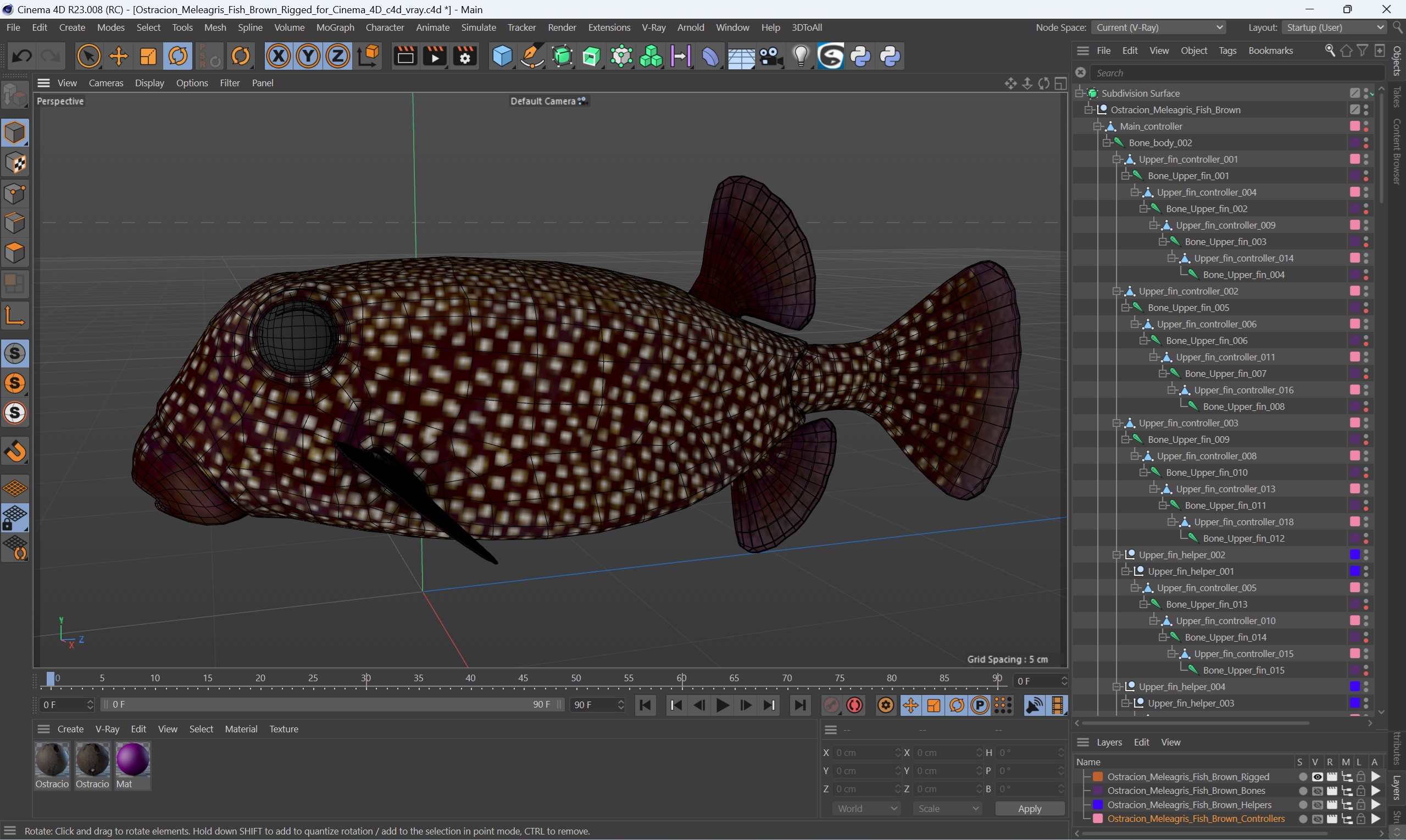 3D Ostracion Meleagris Fish Brown Rigged for Cinema 4D