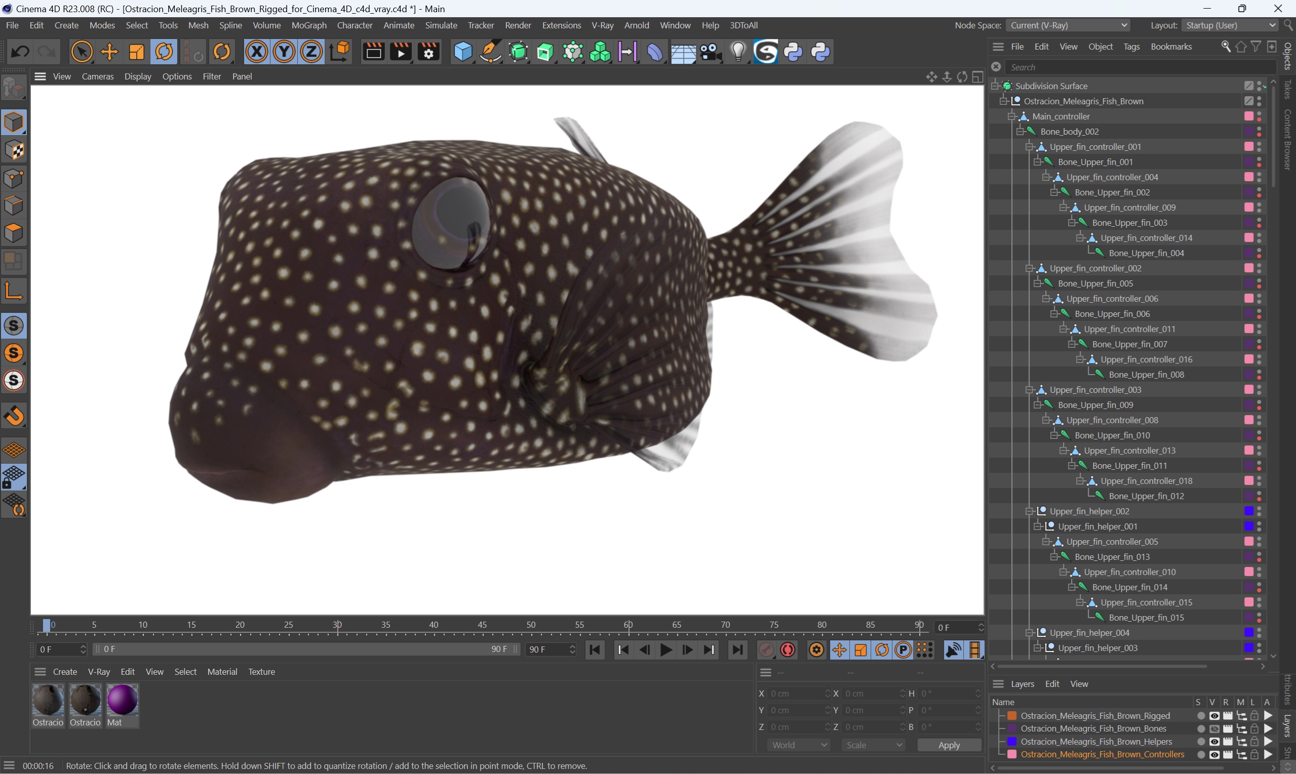 3D Ostracion Meleagris Fish Brown Rigged for Cinema 4D