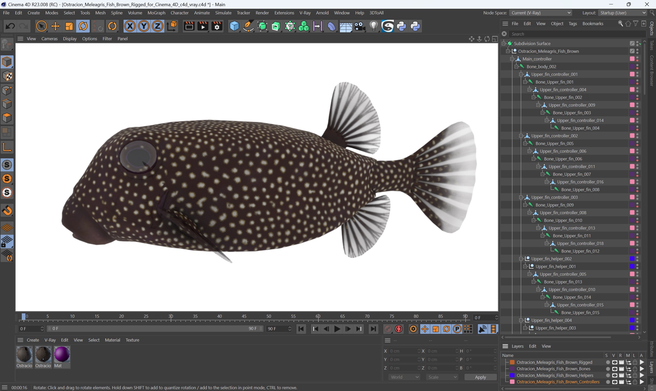 3D Ostracion Meleagris Fish Brown Rigged for Cinema 4D