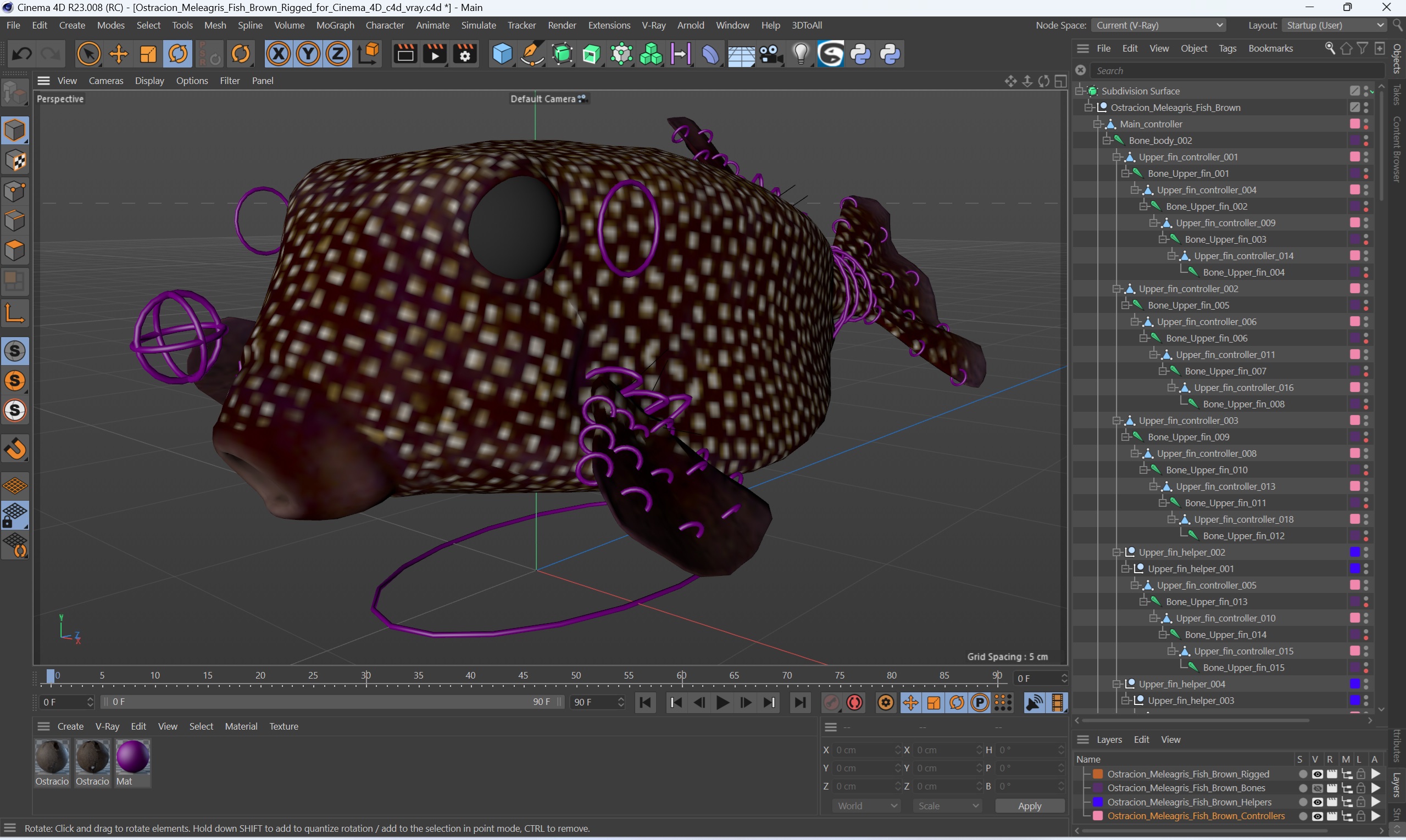 3D Ostracion Meleagris Fish Brown Rigged for Cinema 4D