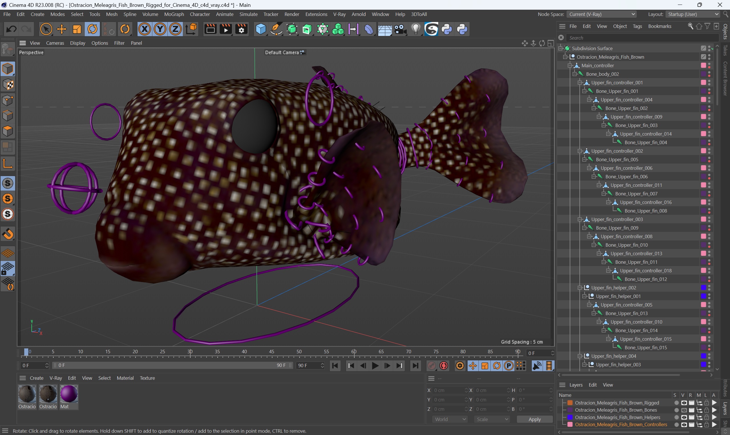 3D Ostracion Meleagris Fish Brown Rigged for Cinema 4D