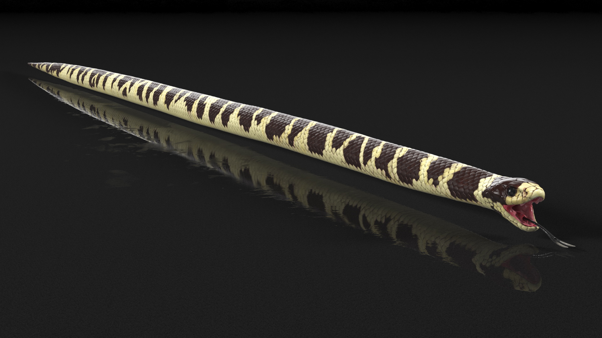 3D California Kingsnake Rigged for Modo