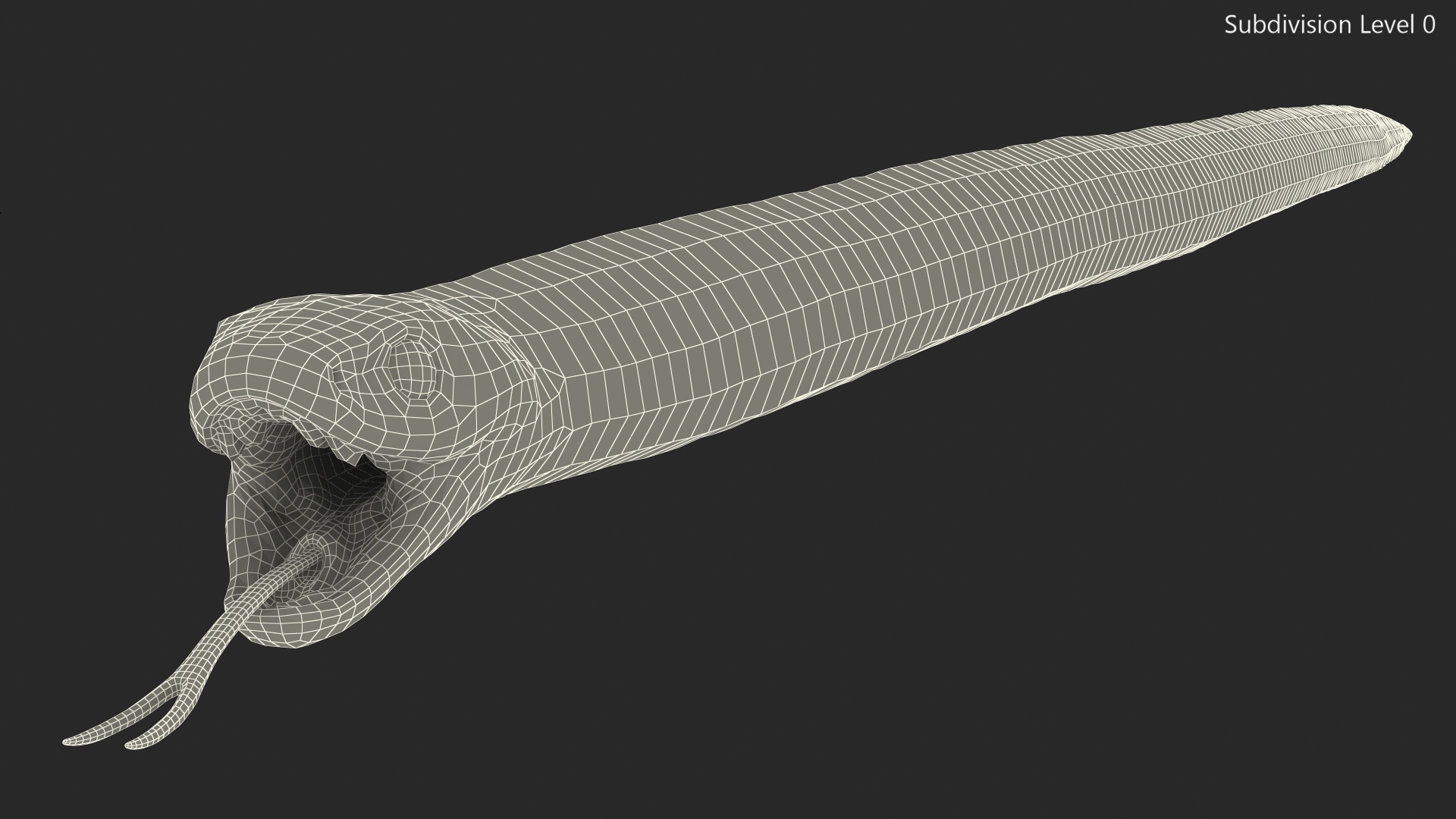 3D California Kingsnake Rigged for Modo