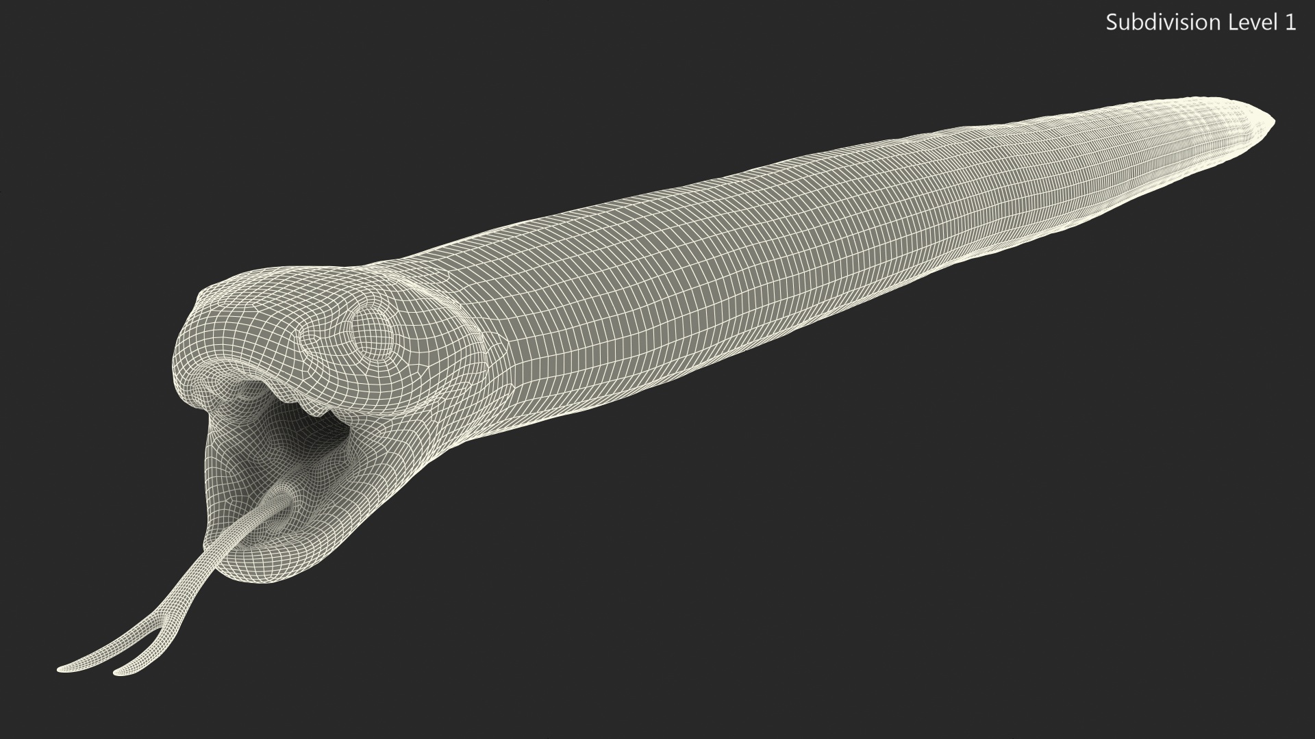 3D California Kingsnake Rigged for Modo