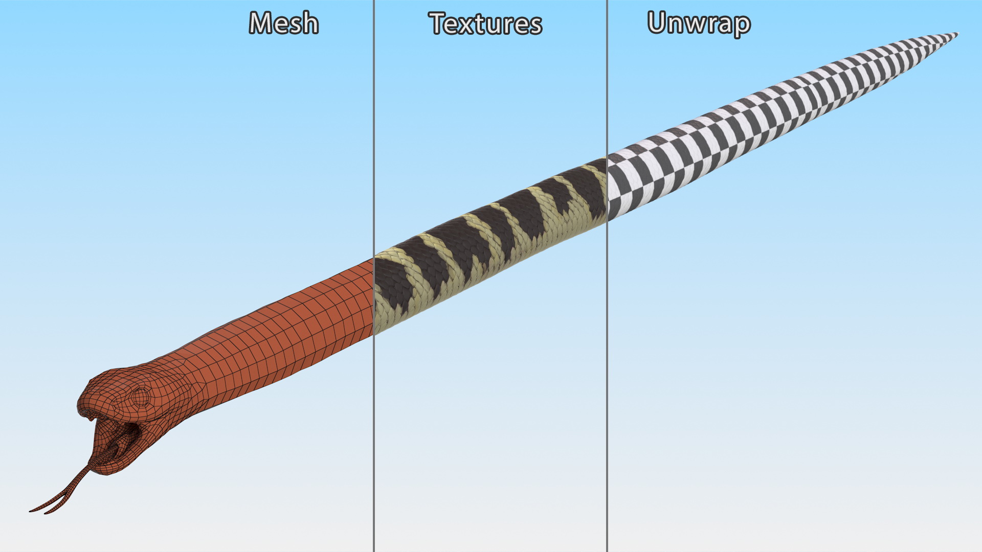 3D California Kingsnake Rigged for Modo