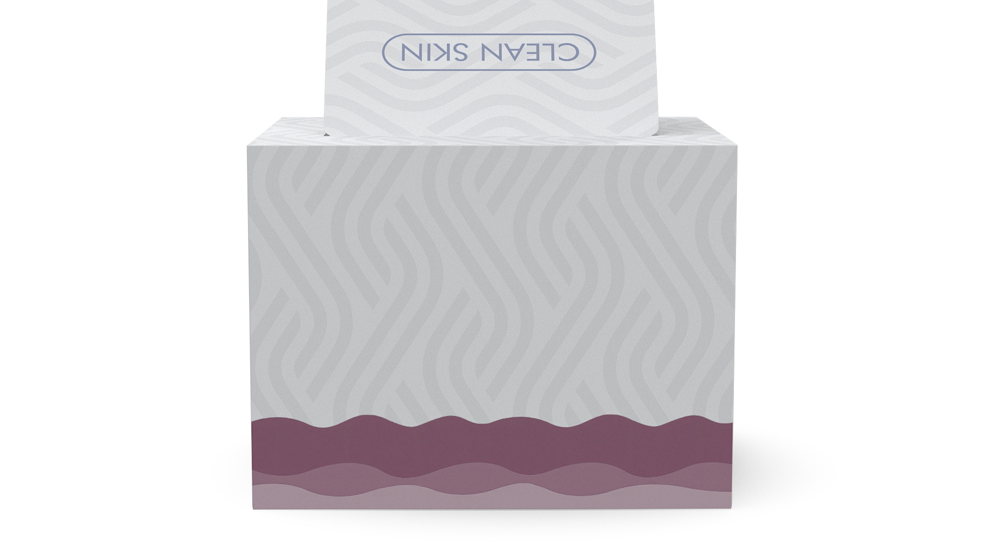 3D Paper Towel Box Empty