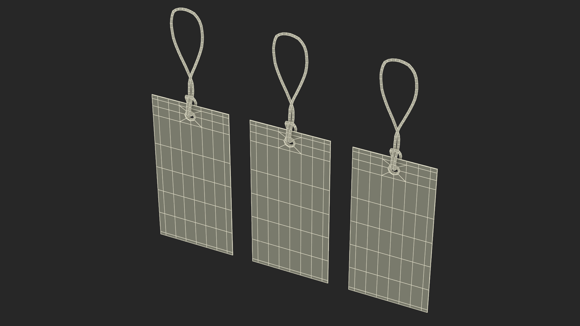 3D Label Tag Rectangular