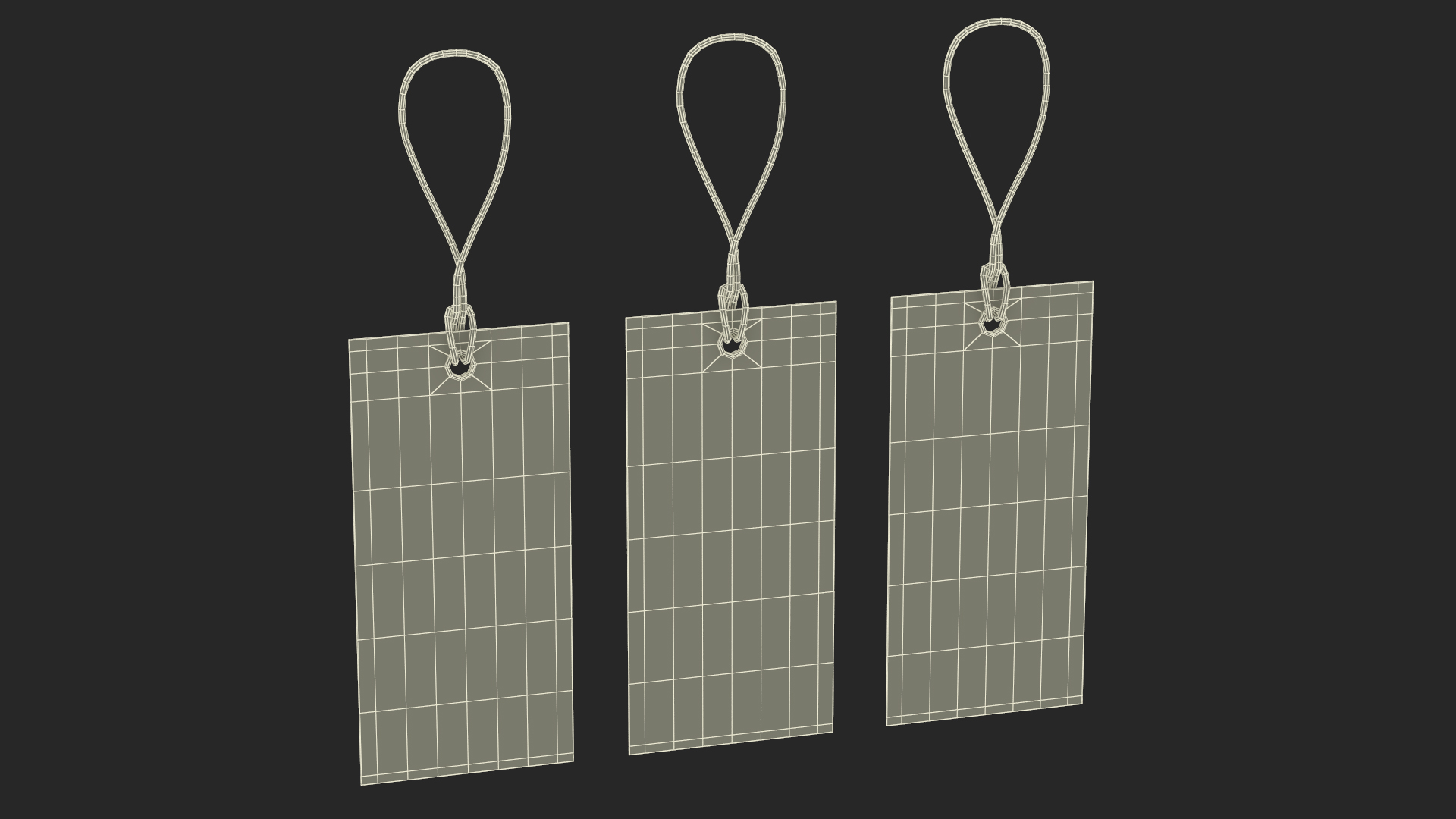 3D Label Tag Rectangular