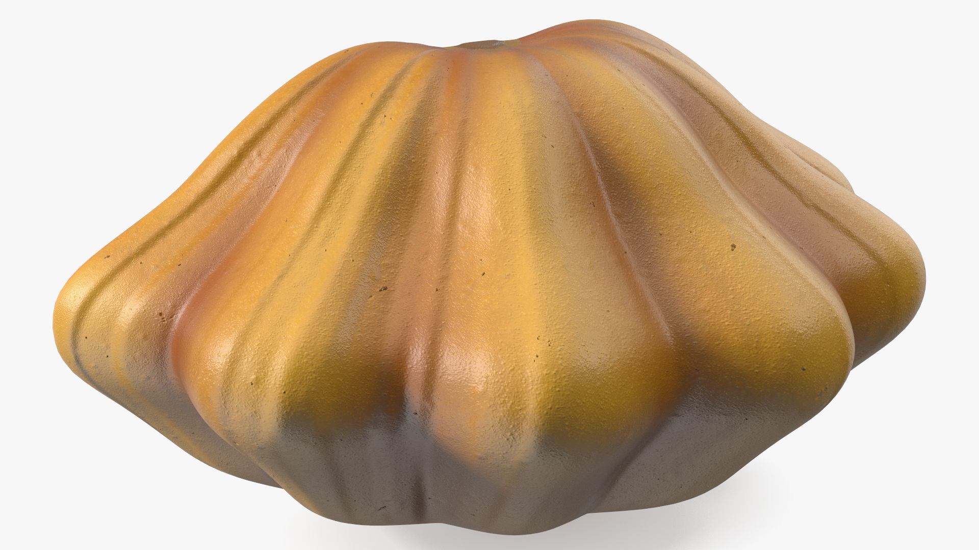 3D Half of Orange Color Bush Pumpkin model