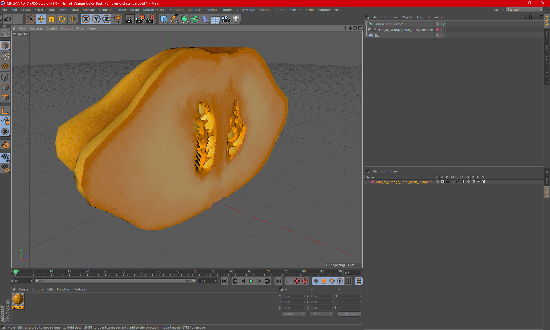 3D Half of Orange Color Bush Pumpkin model