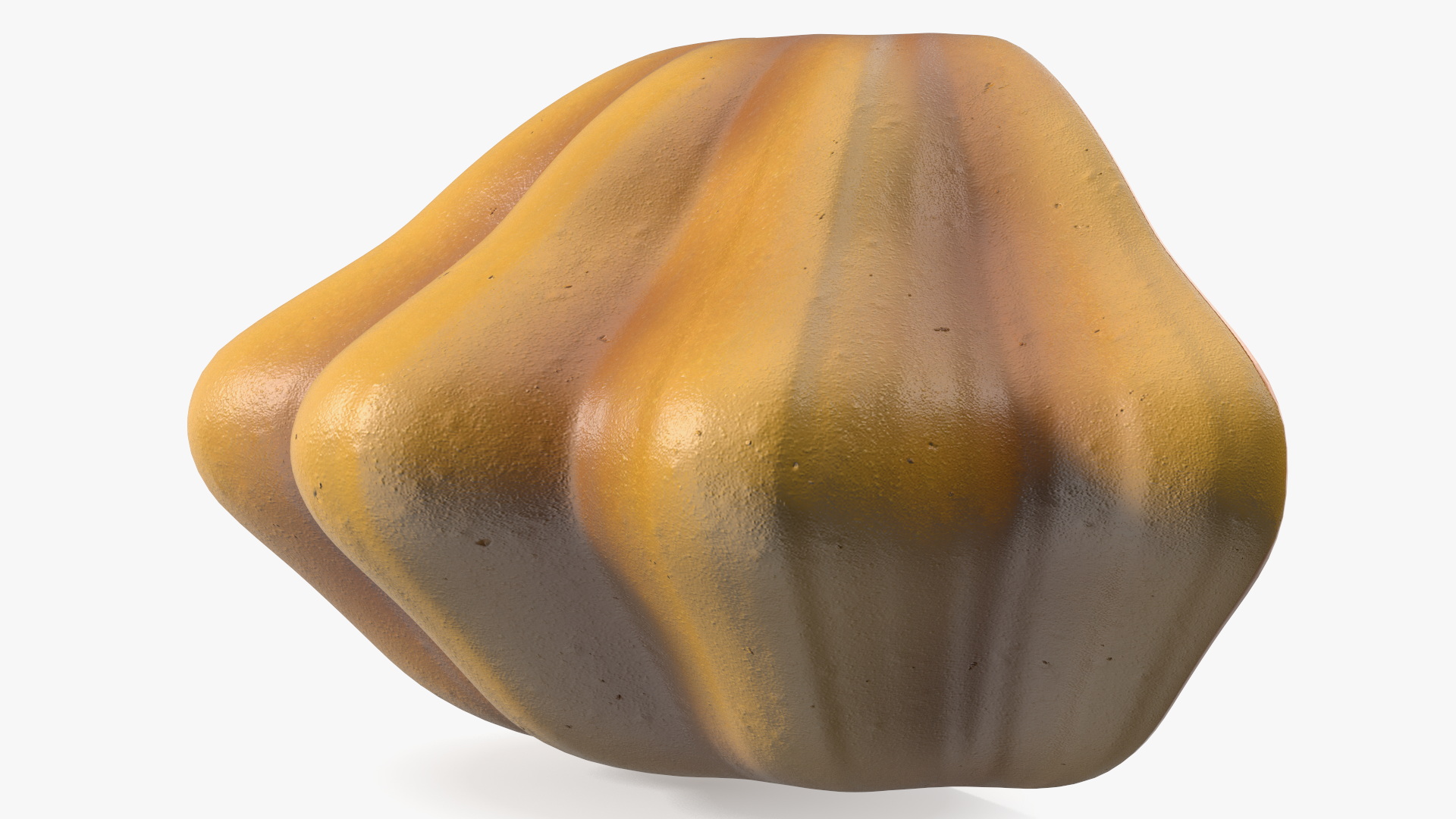 3D Half of Orange Color Bush Pumpkin model