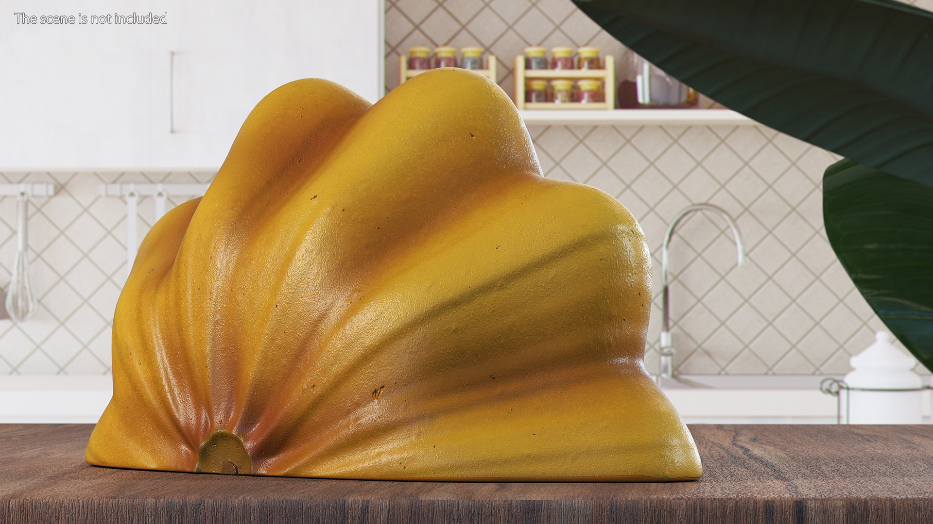 3D Half of Orange Color Bush Pumpkin model