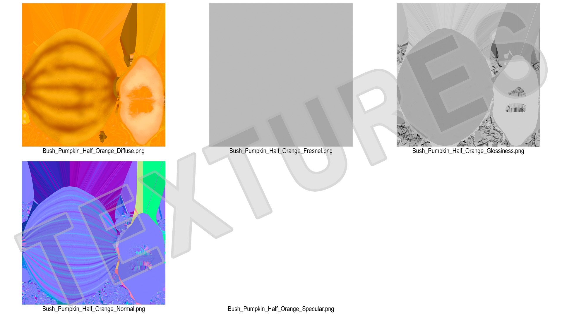 3D Half of Orange Color Bush Pumpkin model