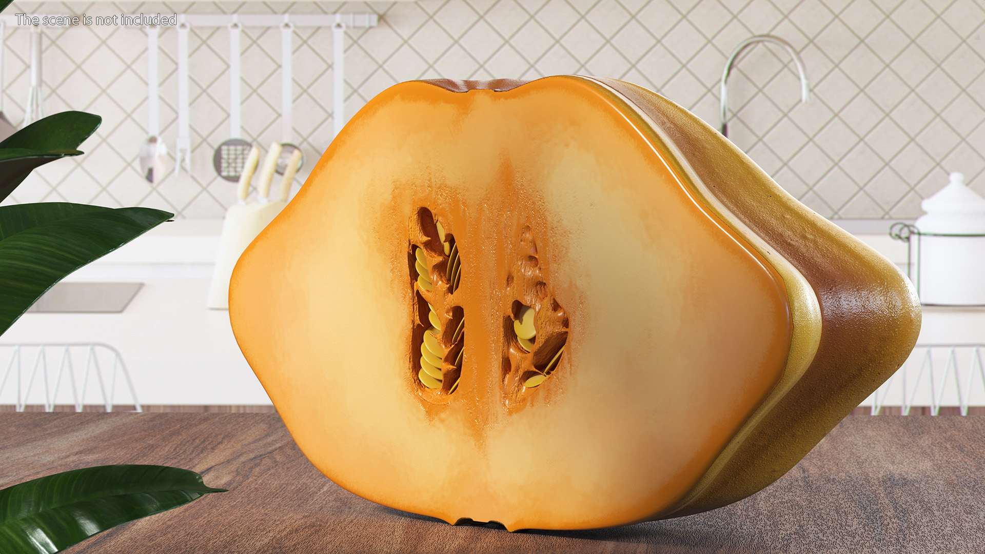 3D Half of Orange Color Bush Pumpkin model