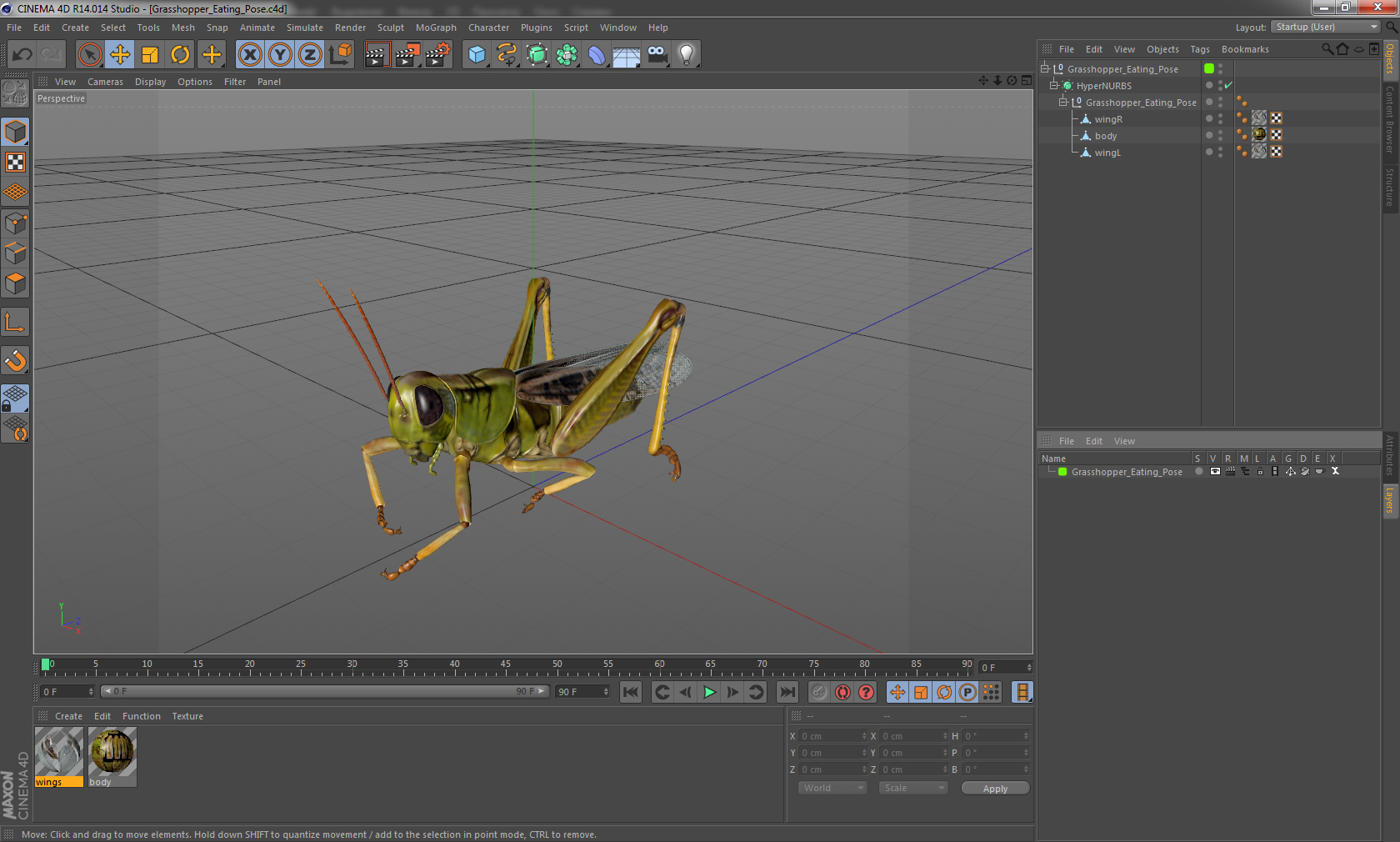 3D Grasshopper Eating Pose model