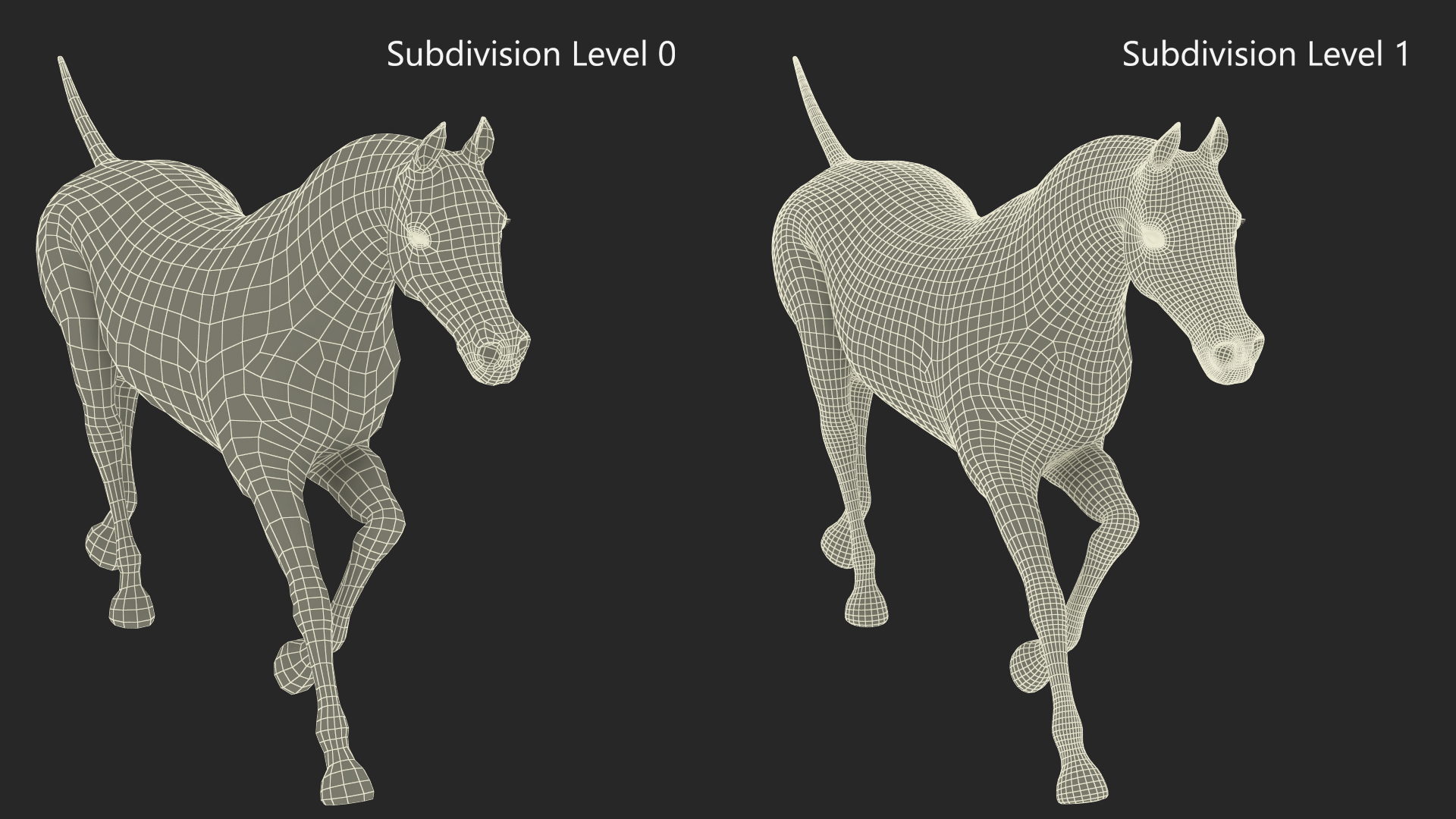 3D Galloping Arabian Horse Black Fur model