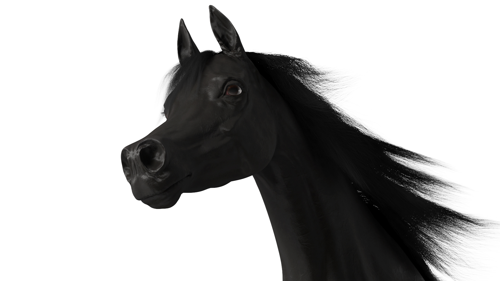 3D Galloping Arabian Horse Black Fur model