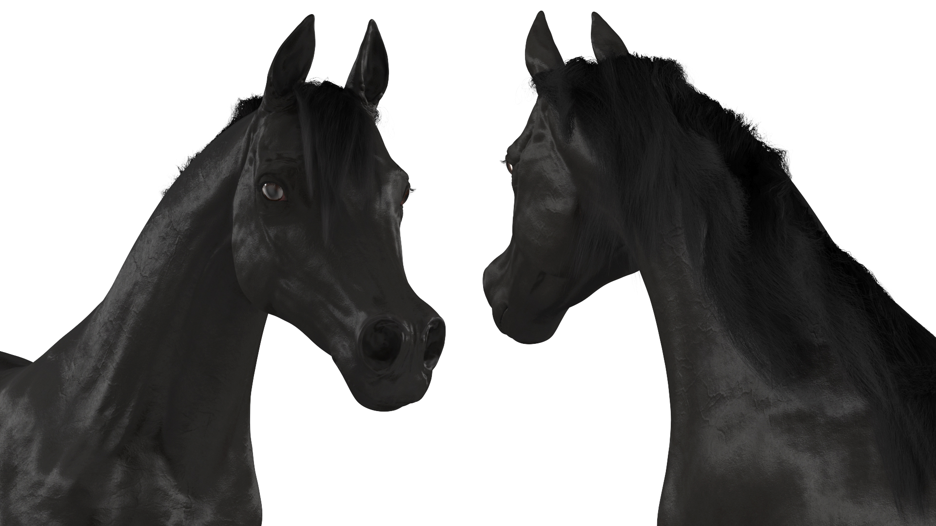 3D Galloping Arabian Horse Black Fur model