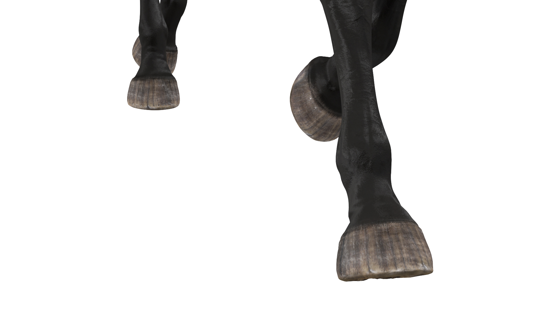3D Galloping Arabian Horse Black Fur model