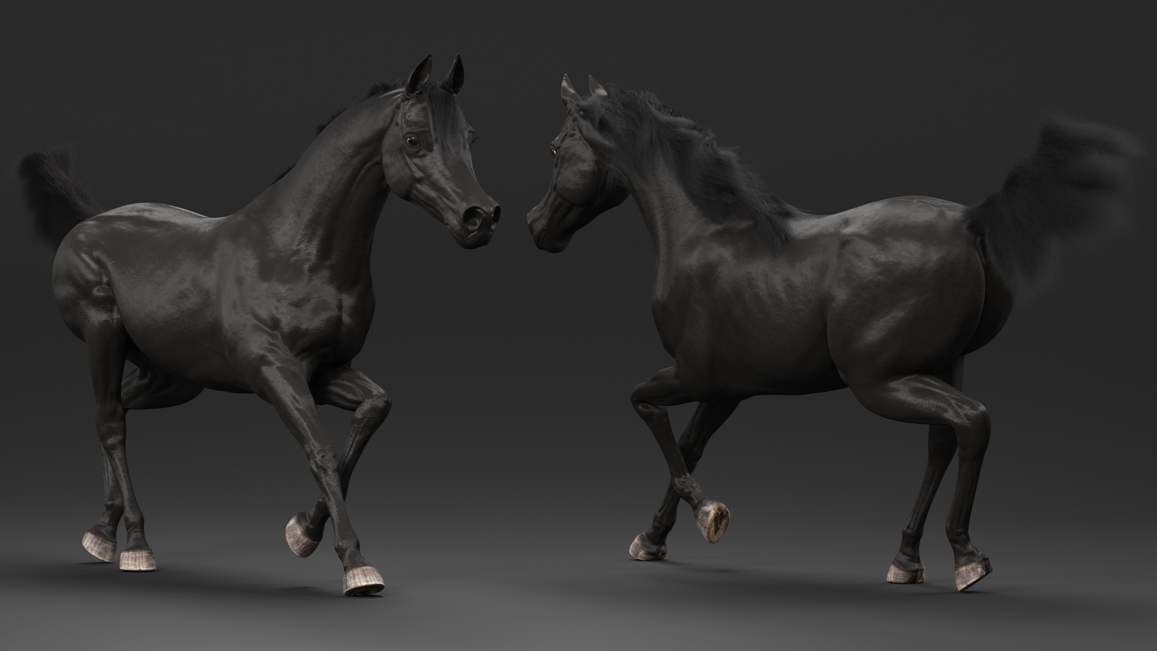 3D Galloping Arabian Horse Black Fur model