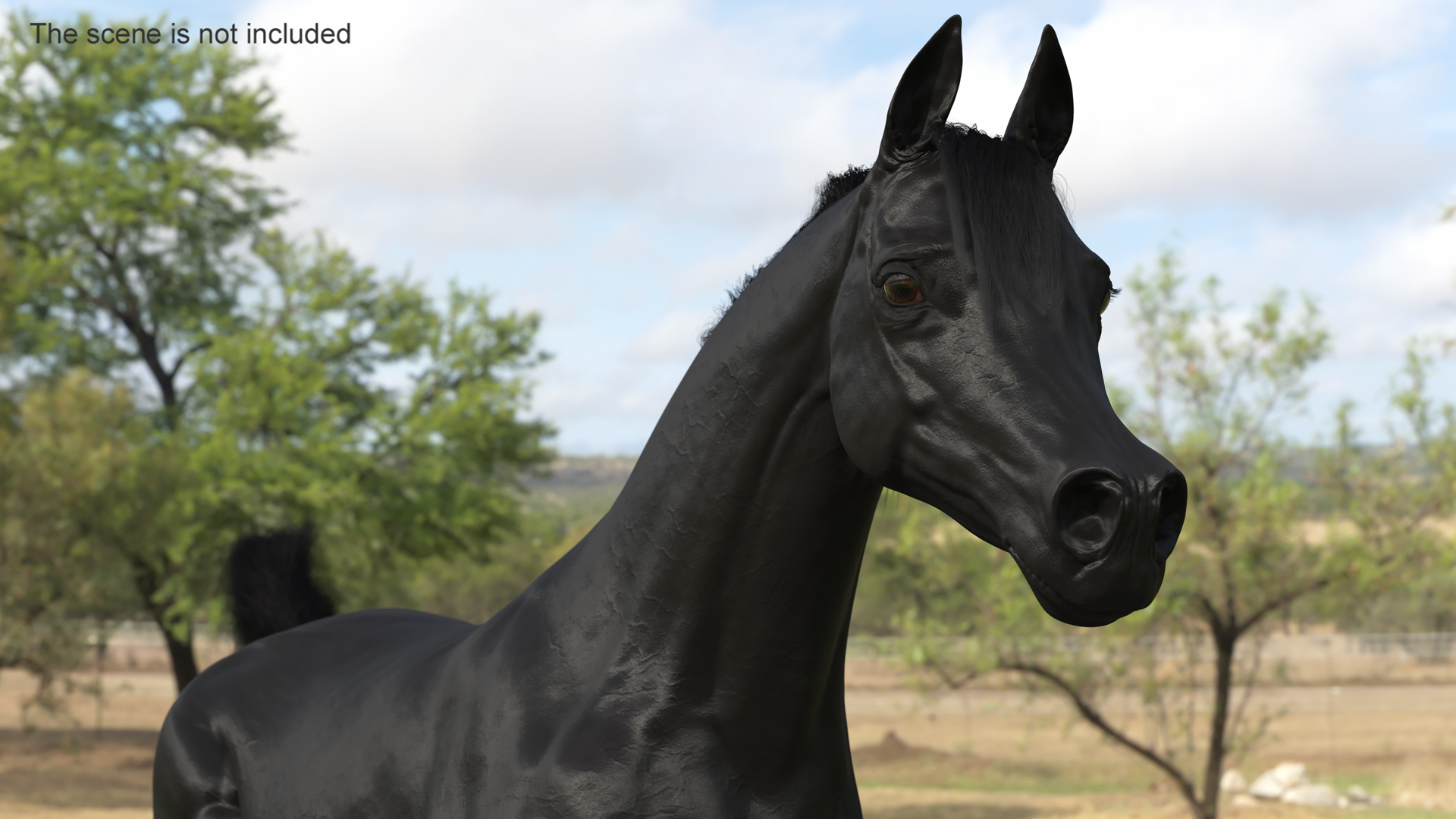 3D Galloping Arabian Horse Black Fur model