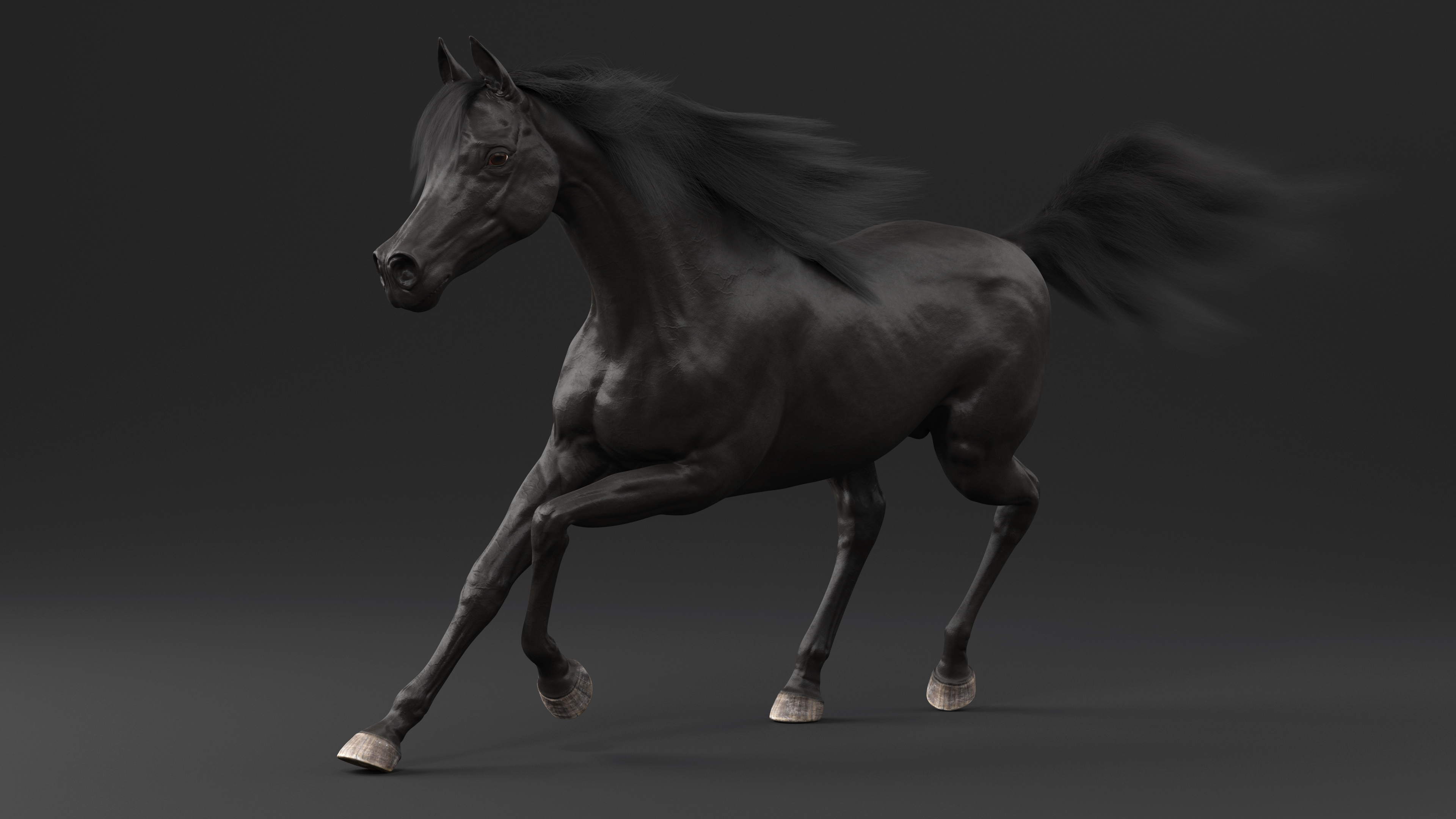 3D Galloping Arabian Horse Black Fur model