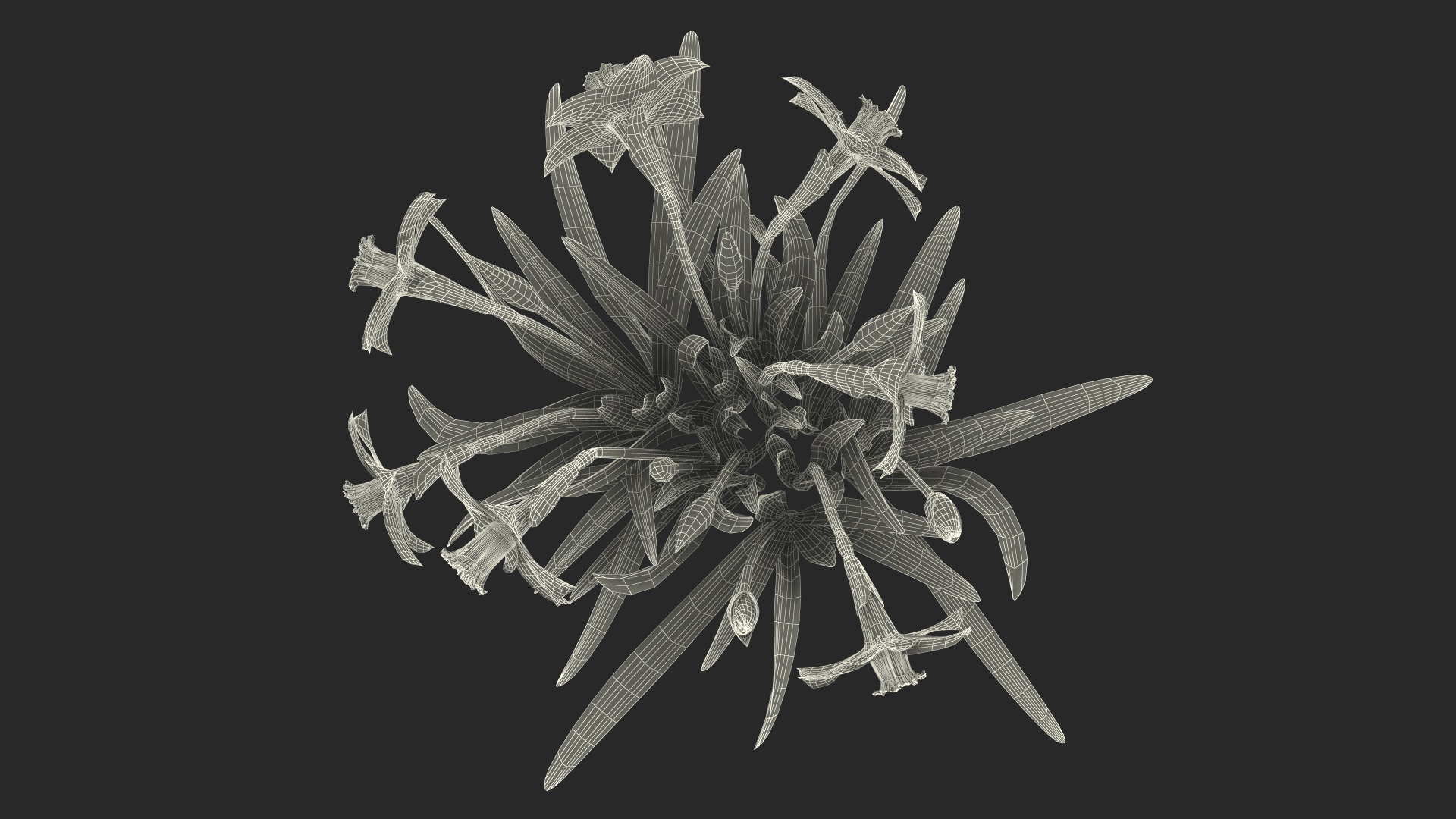 Growing Yellow Daffodils 3D model