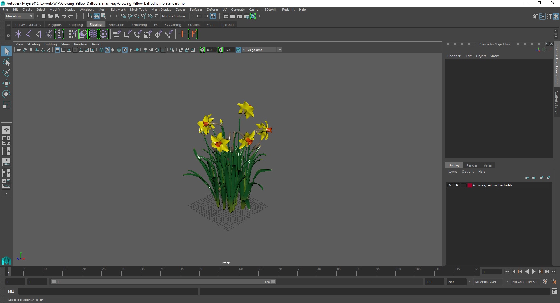 Growing Yellow Daffodils 3D model