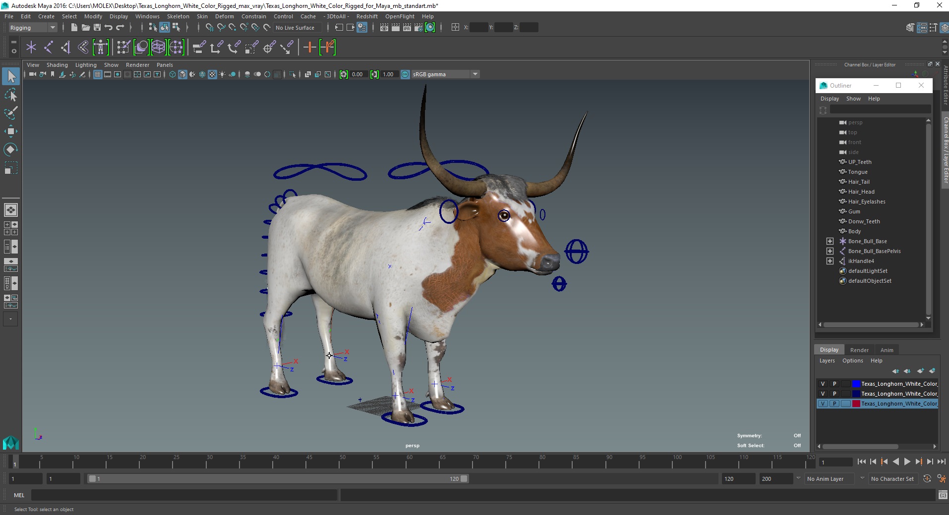 Texas Longhorn White Color Rigged for Maya 3D
