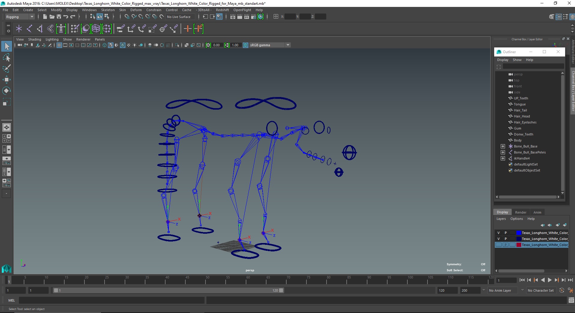 Texas Longhorn White Color Rigged for Maya 3D
