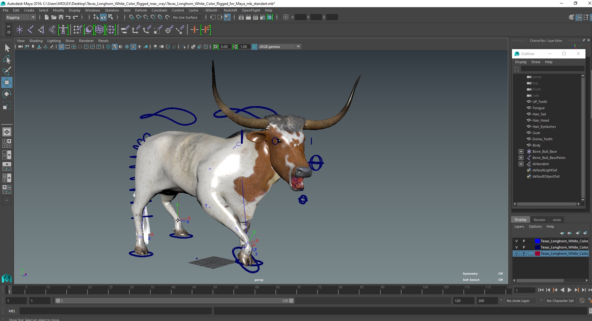 Texas Longhorn White Color Rigged for Maya 3D