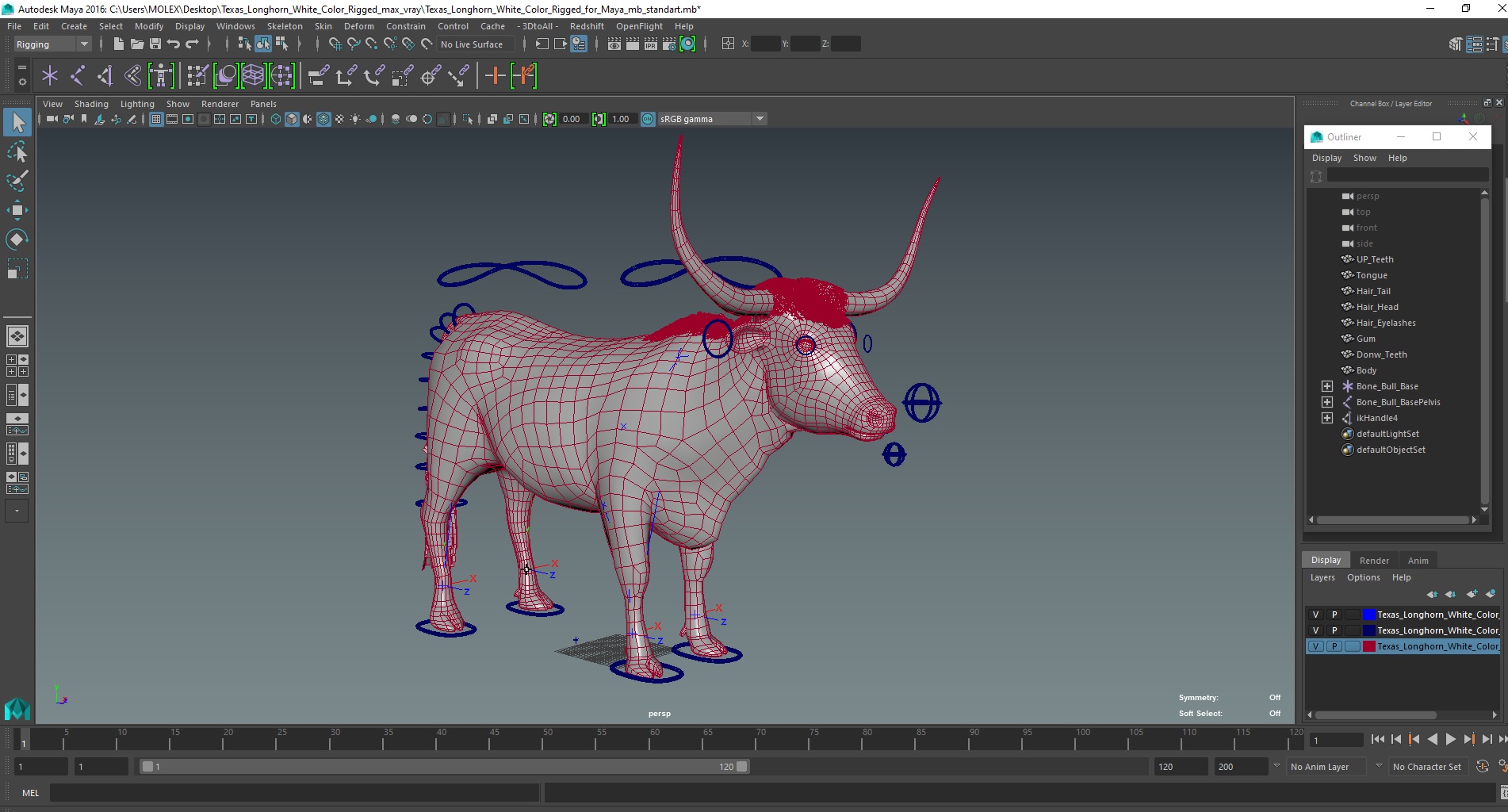 Texas Longhorn White Color Rigged for Maya 3D