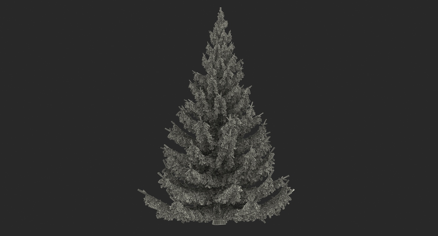 3D Norway Spruce model