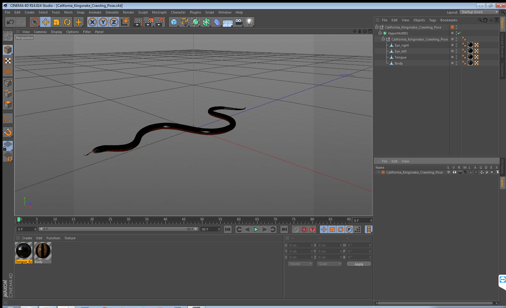 California Kingsnake Crawling Pose 3D model