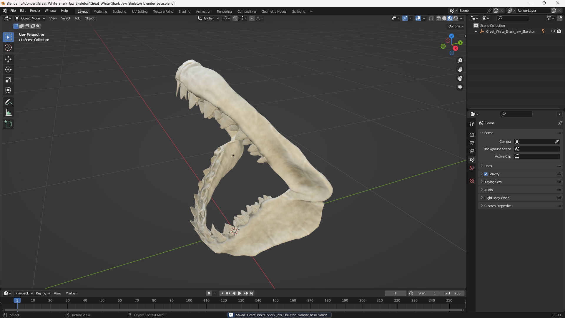 Great White Shark Jaw Skeleton - view 10