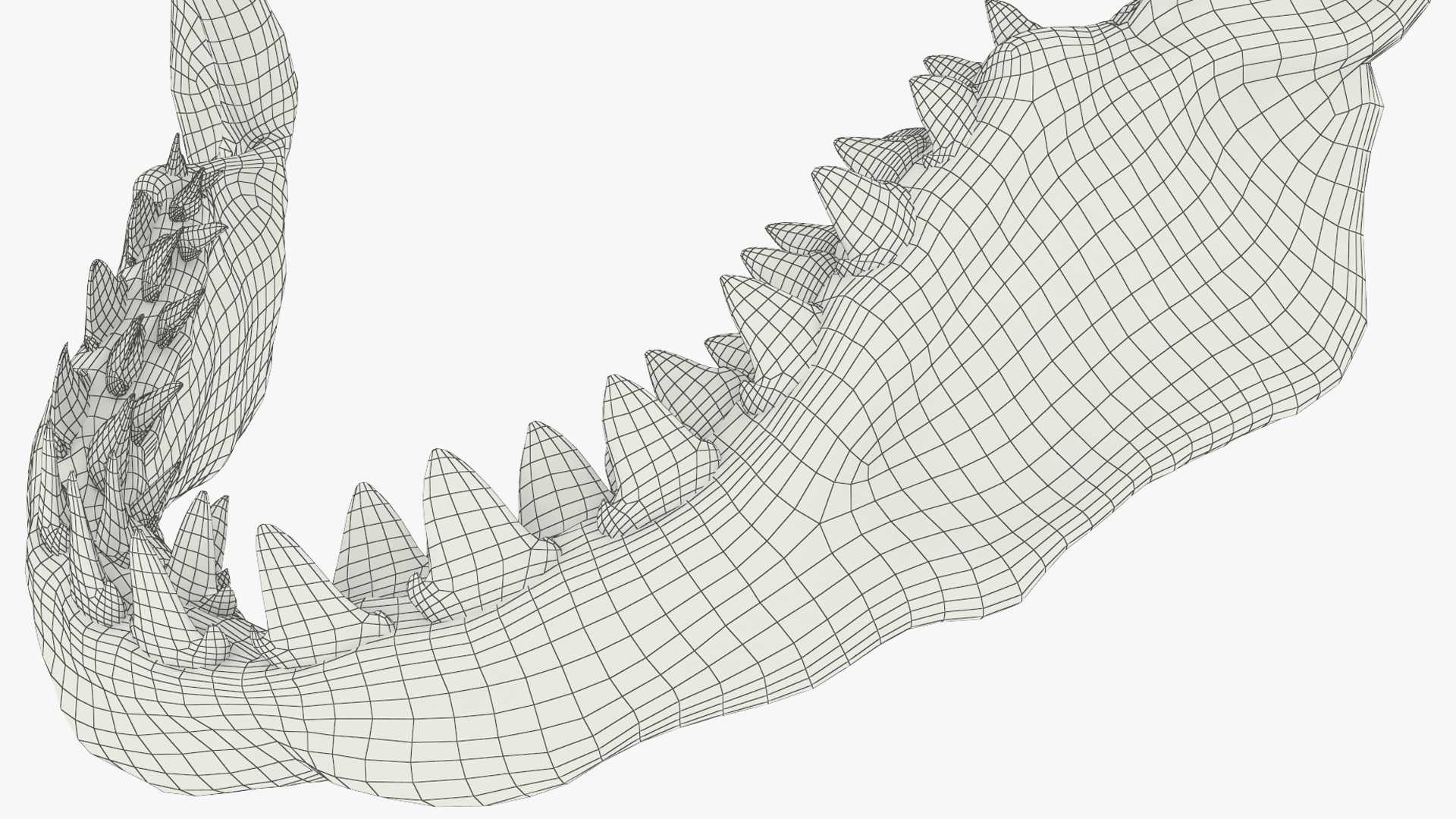 Great White Shark Jaw Skeleton - view 8
