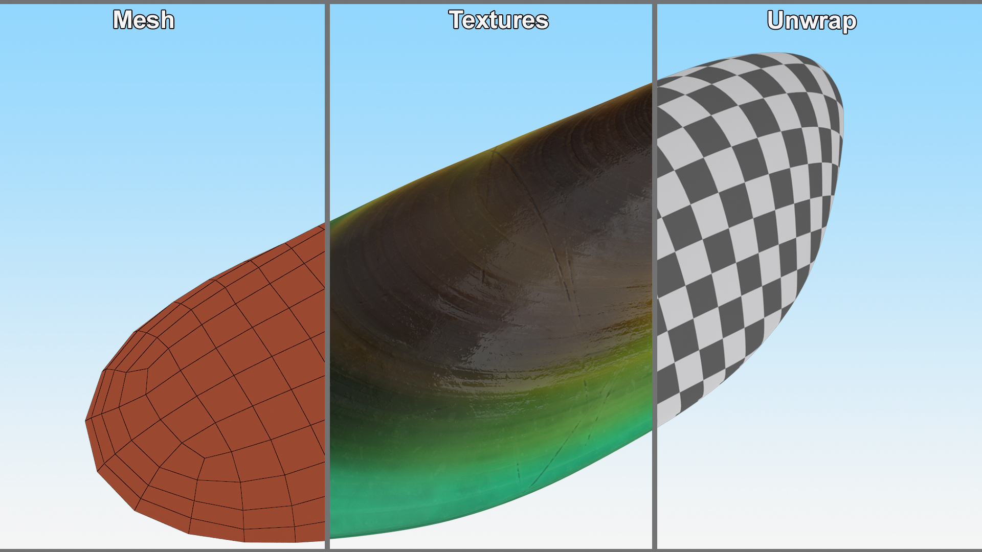 Closed Green Lipped Mussel Shell 3D