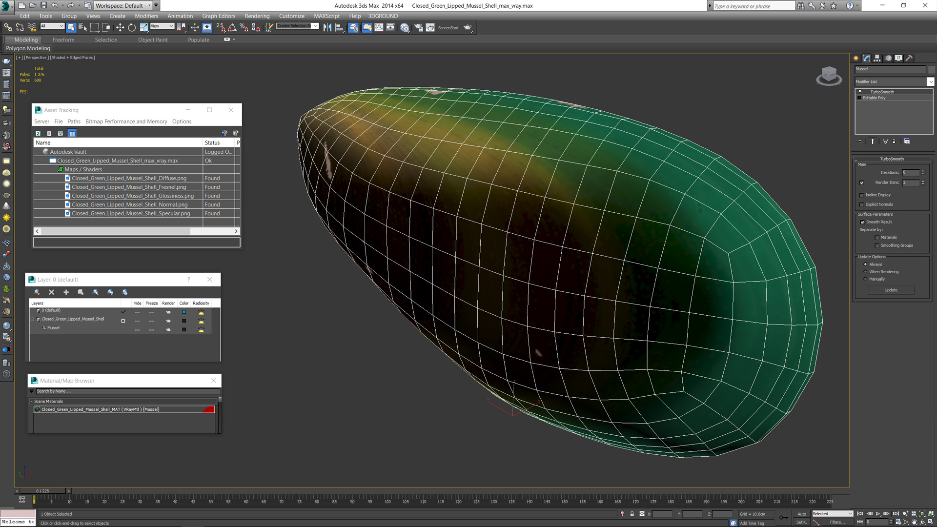 Closed Green Lipped Mussel Shell 3D