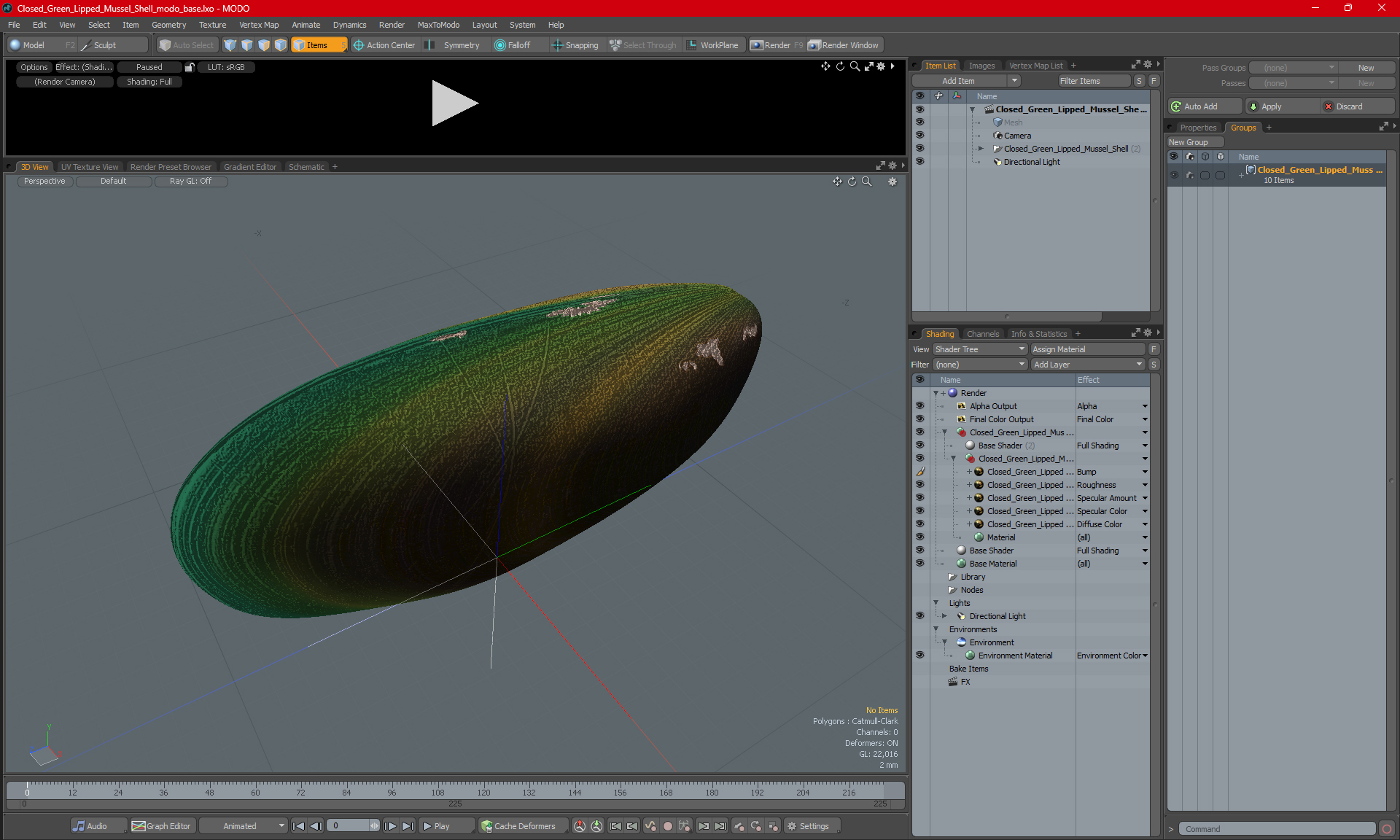 Closed Green Lipped Mussel Shell 3D