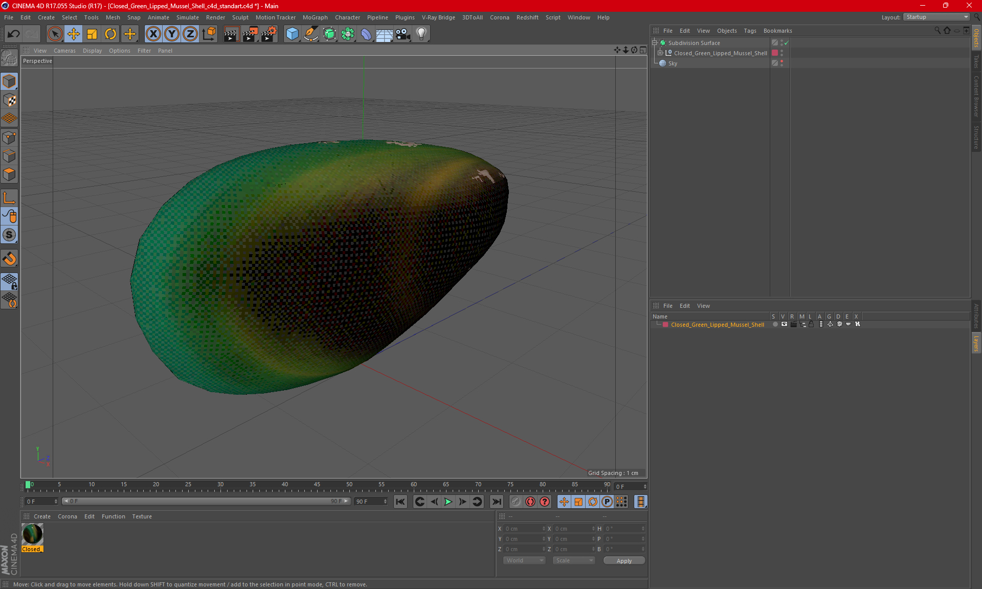 Closed Green Lipped Mussel Shell 3D