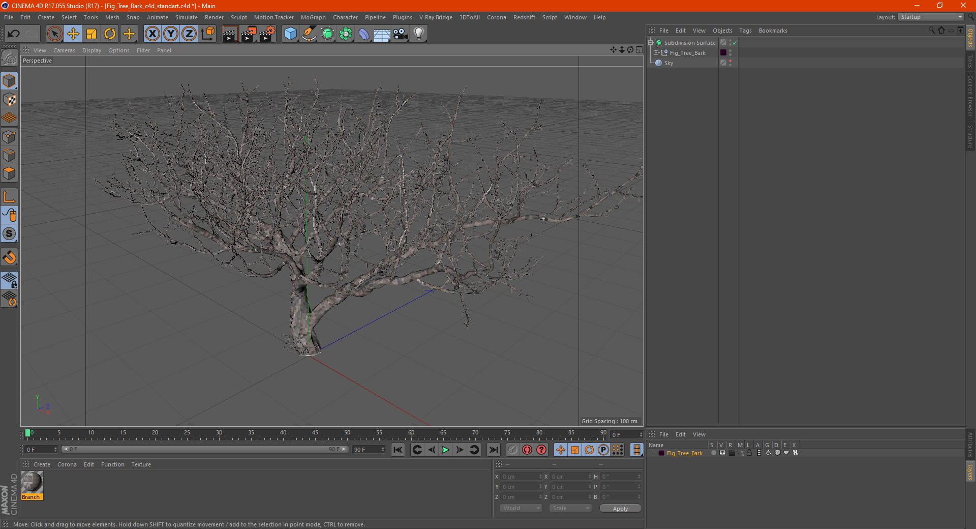 3D Fig Tree Bark model