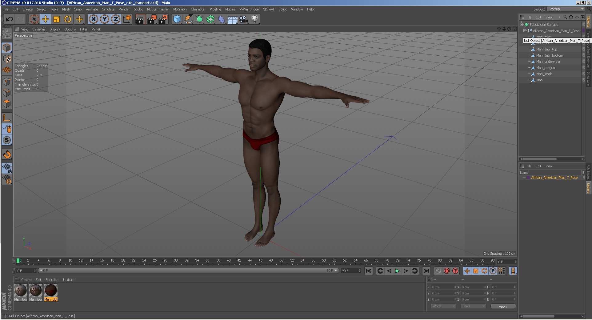 African American Man T Pose 3D