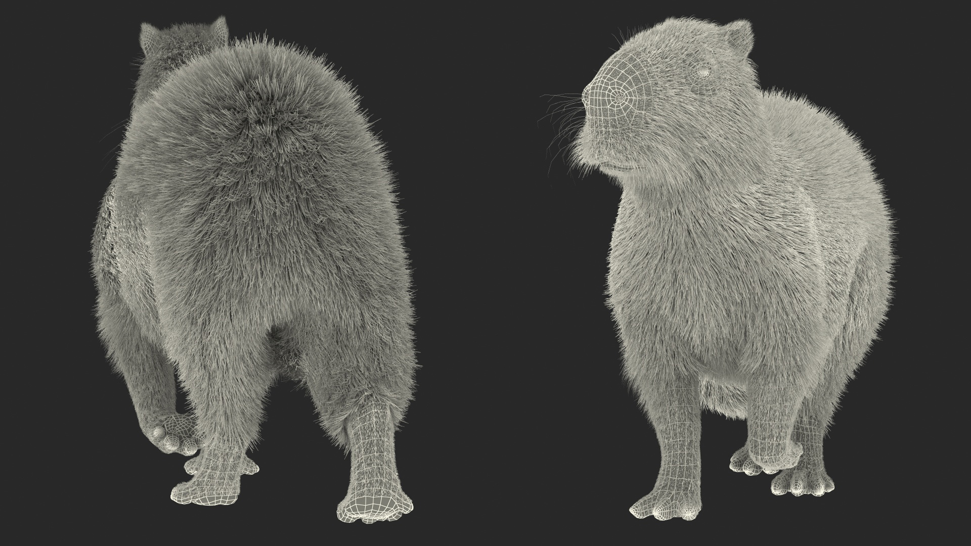 3D model Capybara Walking Pose Fur