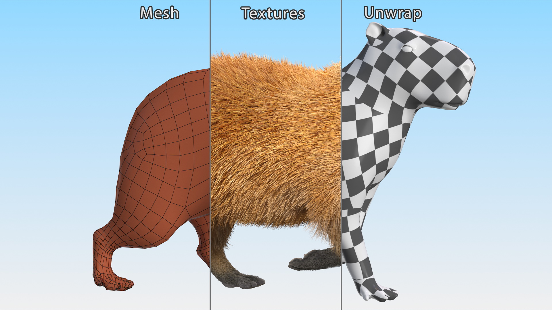 3D model Capybara Walking Pose Fur